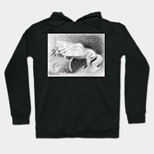 Unbound Hoodie